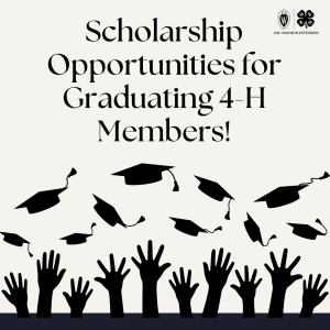 Scholarships for Graduating 4-H Members