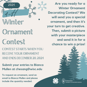 4-H 2024 Winter Ornament Contest