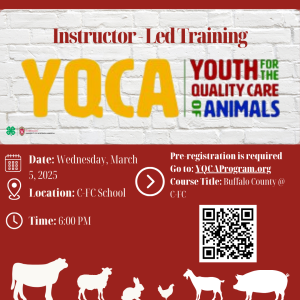 2025 YQCA Instructor Led-Training