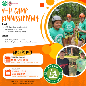 4-H Camp Kinnissippewa 2025 – Register Now!