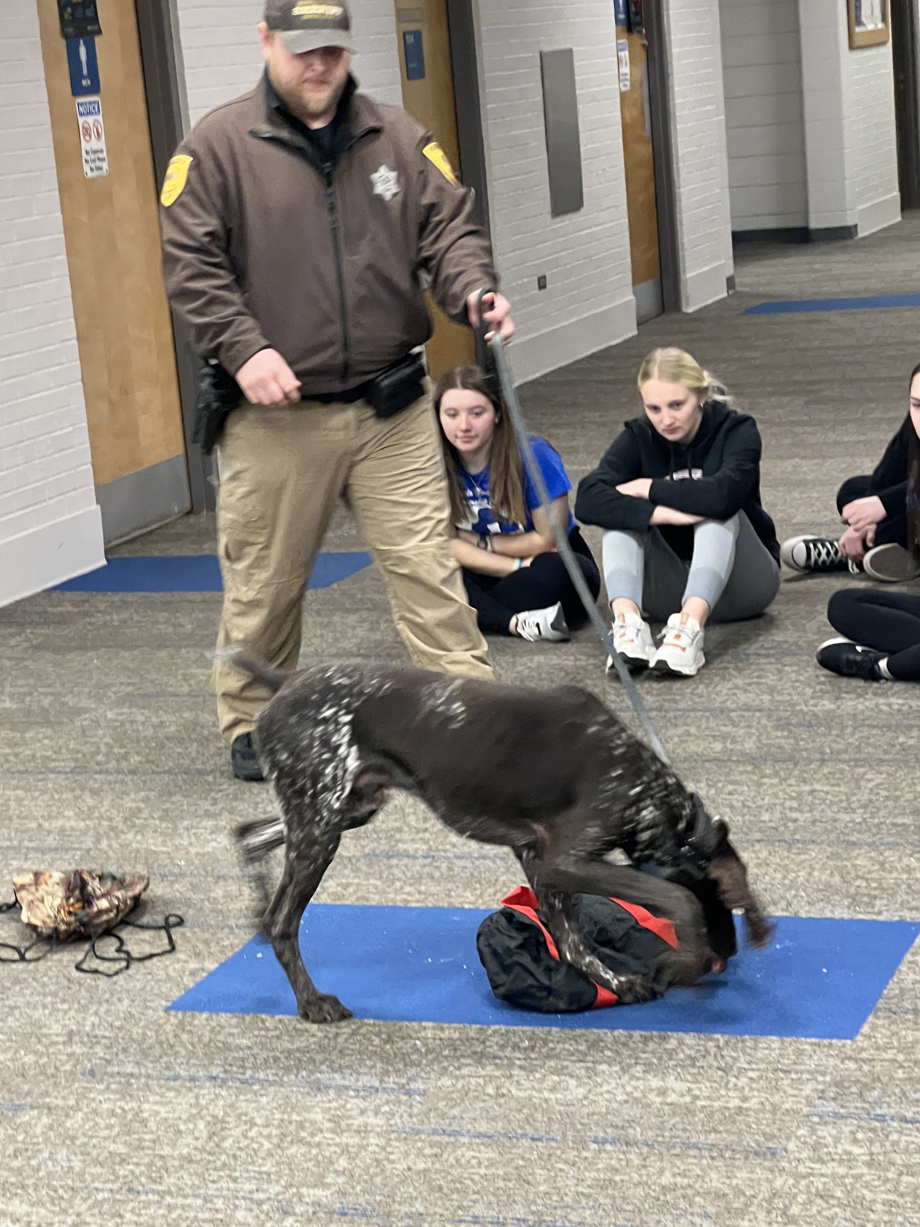 Deputy Olson with K-9 Sitka