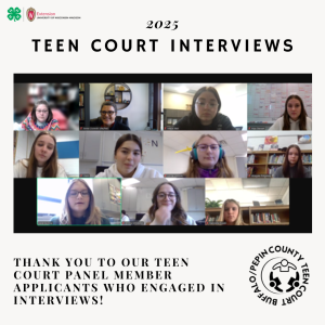 Buffalo/Pepin County Teen Court Seniors Conduct Interviews and Mentor New Panel Members in Restorative Justice Process