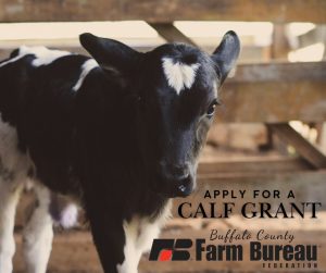 Buffalo County Farm Bureau Dairy Calf Grant – Applications due March 15th