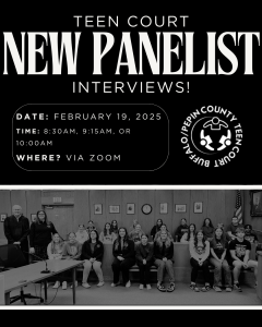 Teen Court New Panelist Interviews – Save the Date