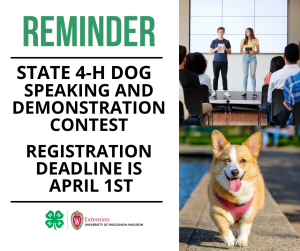 State 4-H Dog Speaking and Demonstration Contest