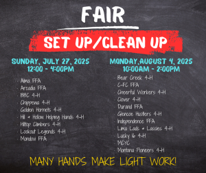 Fair Set up/Clean up