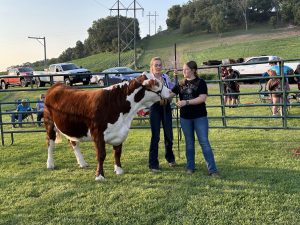 Livestock Showmanship Clinic Enhances Skills