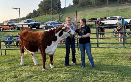 Livestock Showmanship Clinic Enhances Skills