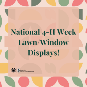 2025 National 4-H Week Lawn/Window Displays!