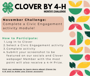 Clover by 4-H  November Challenge – “Thanks & Giving”