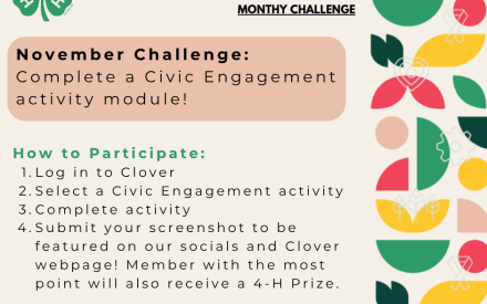 Clover by 4-H  November Challenge – “Thanks & Giving”