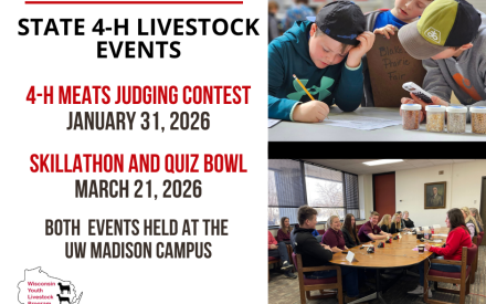 Meats Judging Contest