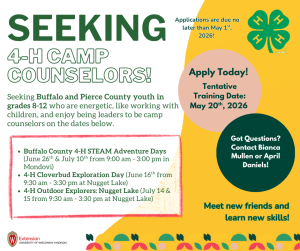 Seeking 4‑H Camp Counselors for Summer 2026 – Apply Today!