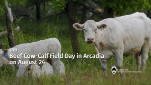 2026 Beef Cow-Calf Field Day