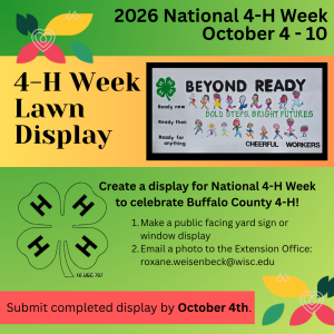4-H Week Lawn & Window Display
