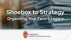 Shoebox to Strategy