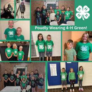 Buffalo County 4-H “Green Out”