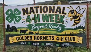 National 4-H Week Yard Signs